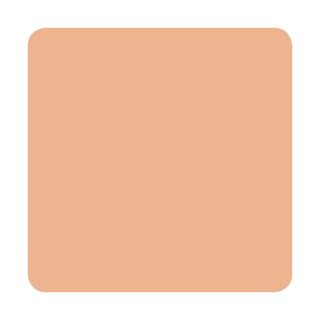 Peachy Flesh (Muted Earth Tones) - Eternal Ink thumbnail 3