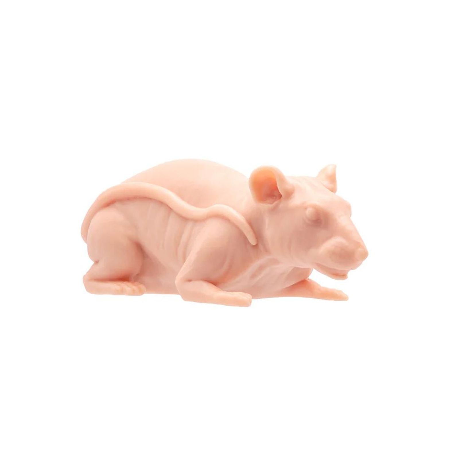 APOF Naked Rat Original Tone