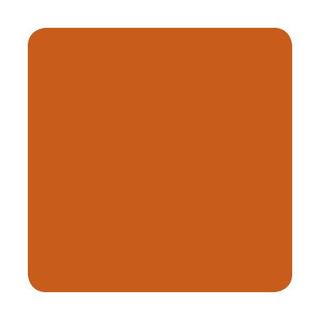Burnt Orange (Muted Earth Tones) - Eternal Ink thumbnail 1