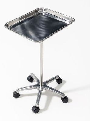 Rolling Stainless Steel Tray Station