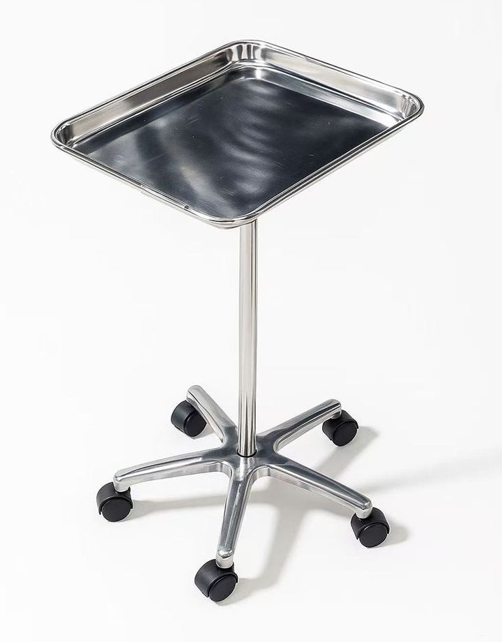 Rolling Stainless Steel Tray Station