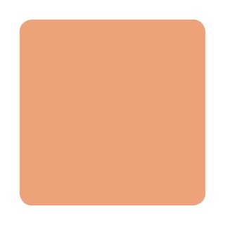 Nude Blush (Portrait Skin Tones) - Eternal Ink thumbnail 3