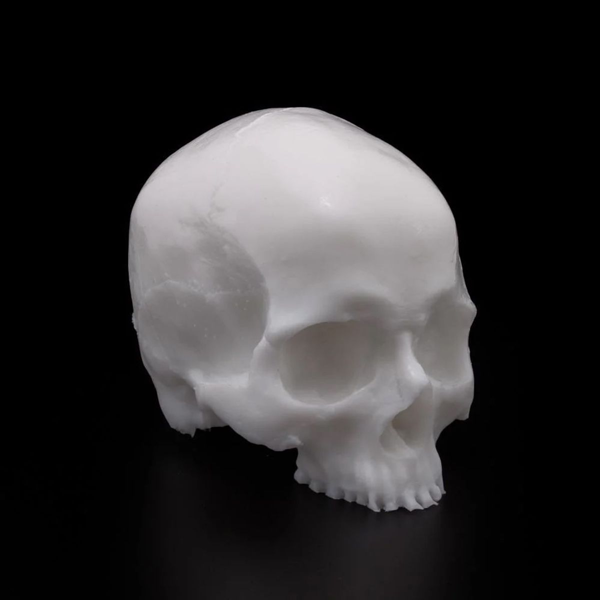 APOF Yorick Skull Original Tone